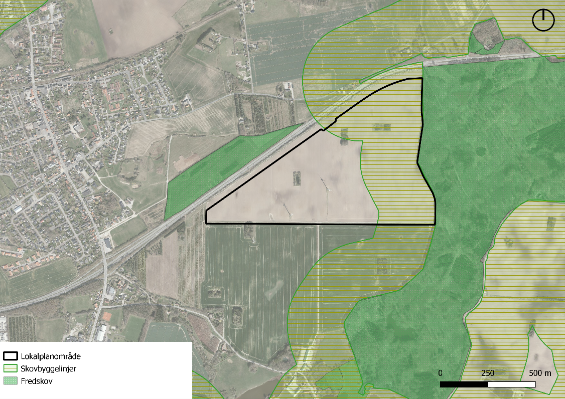 Lokalplanområdets beliggenhed i forhold til skovbyggelinje.
