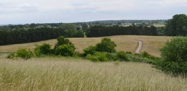 Kig fra området mod syd ud over fælleden