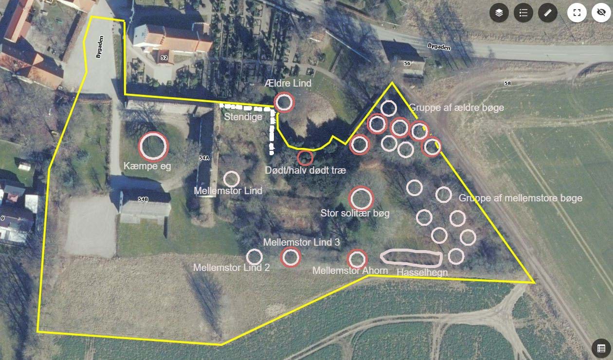 Registrering af træer hvor der er sandsynlighed for flagermus