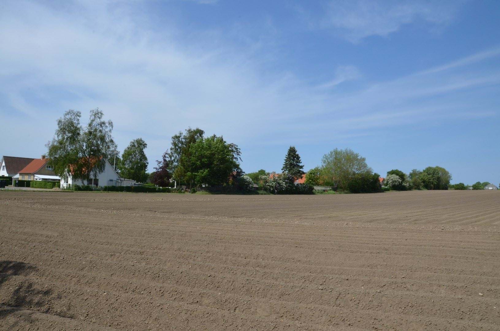 Den sydlige del af projektområdet, med del af bebyggelsen på Rønne Alle i baggrunden