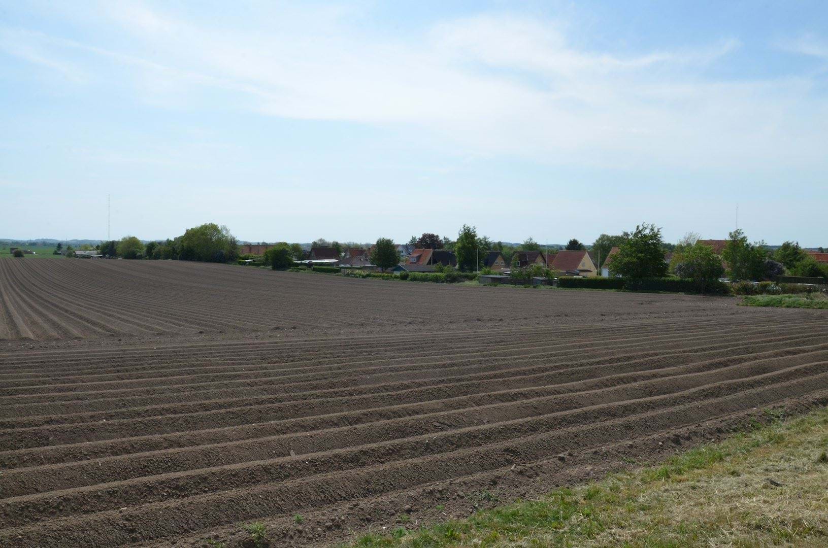 Projektområdet set fra Holbækvej med eksisterende beplantning og boliger ved Rønne Alle i baggrunden.