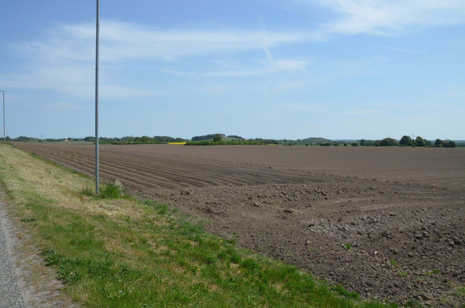 Projektområdet i forgrunden og bakkeformation ved Thorslunde i baggrunden.